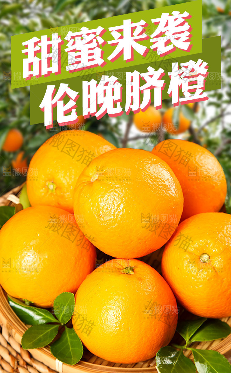 伦晚甜橙详情页
