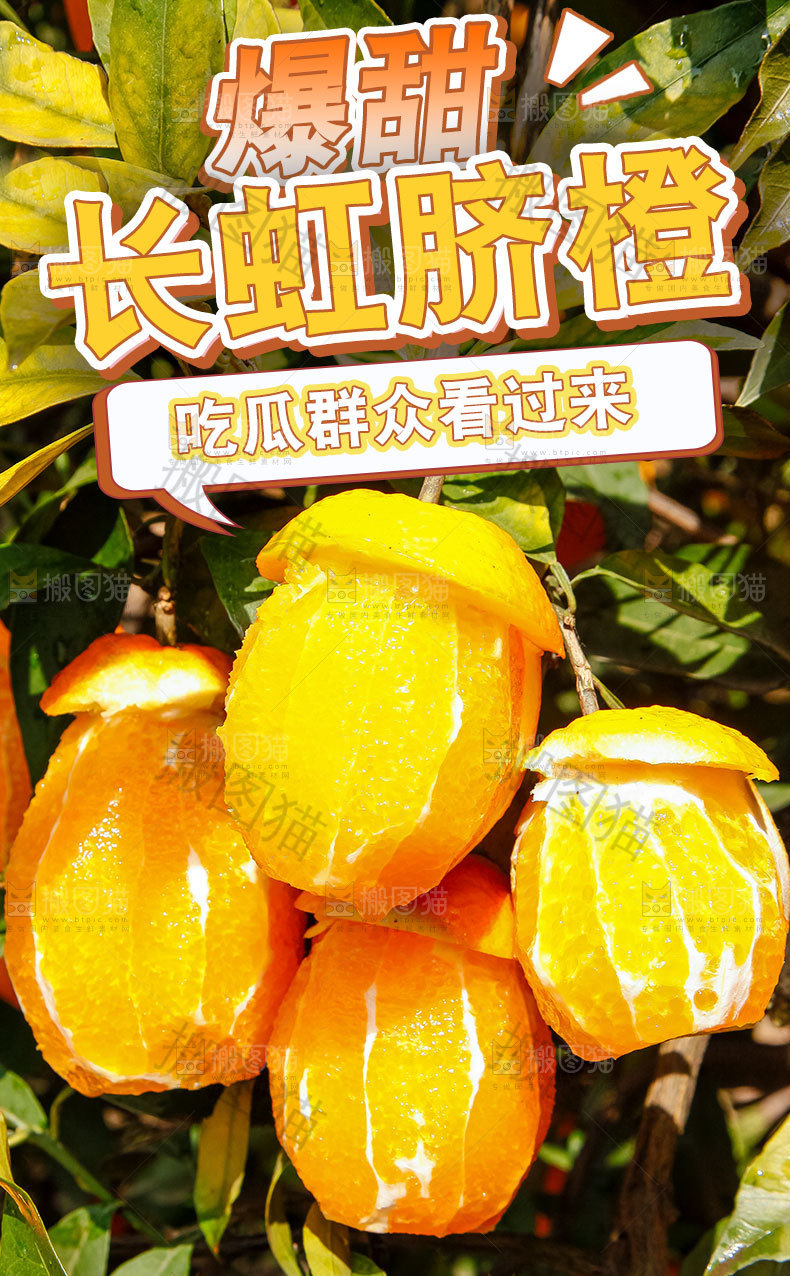 长虹脐橙详情页设计