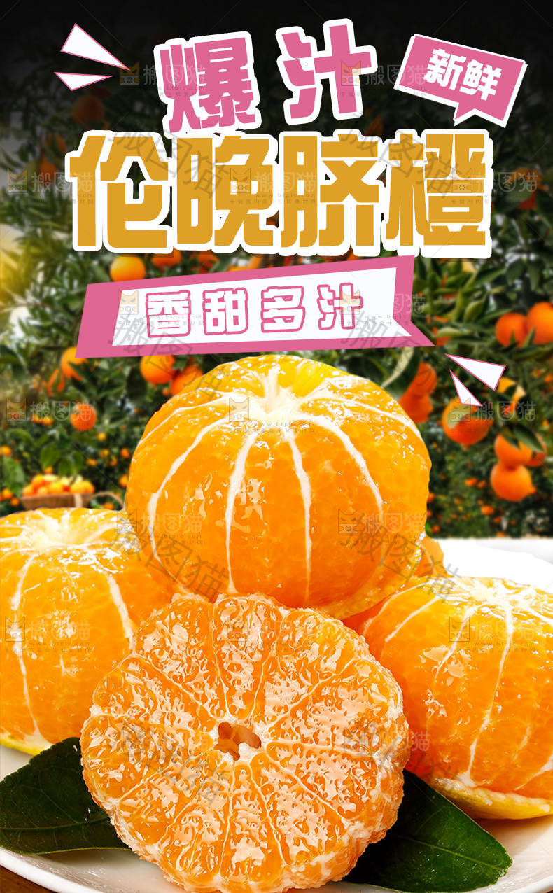 伦晚脐橙详情页