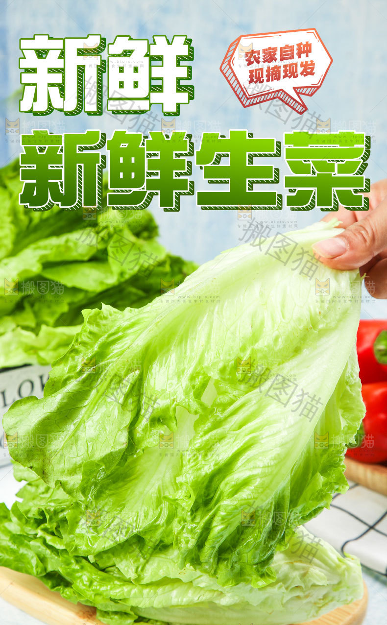 新鲜生菜详情页