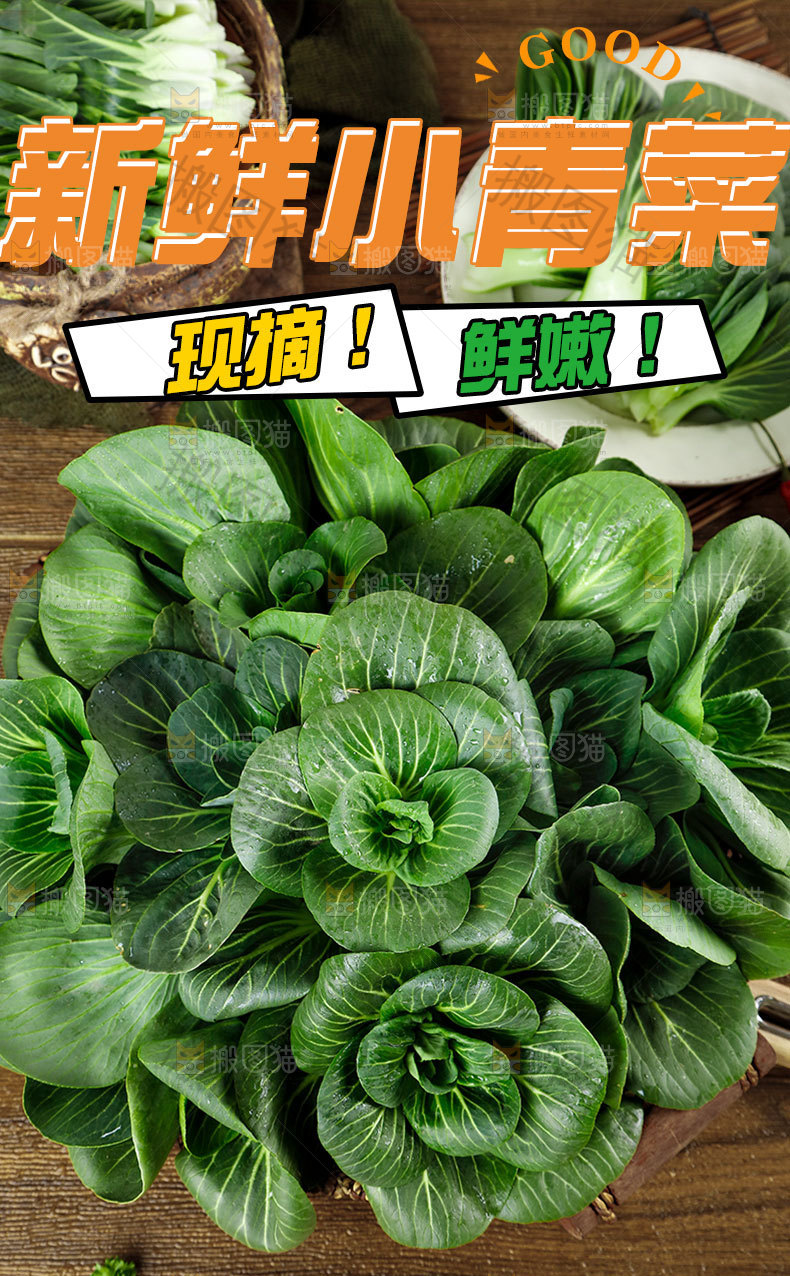 新鲜青菜详情页