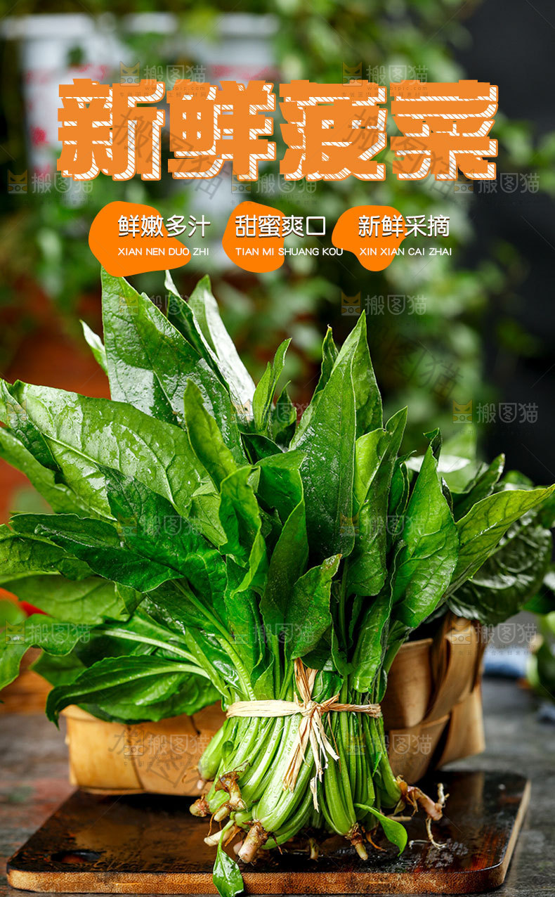 菠菜详情页设计
