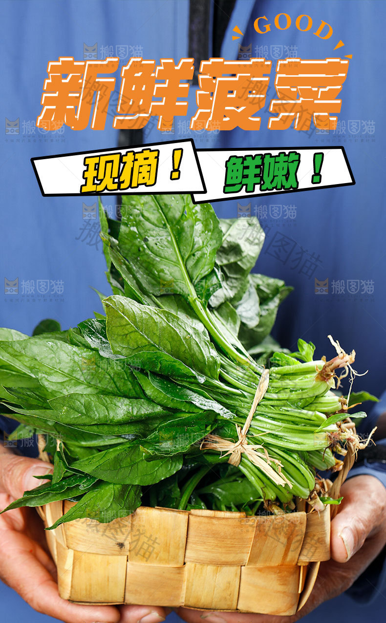 菠菜详情页