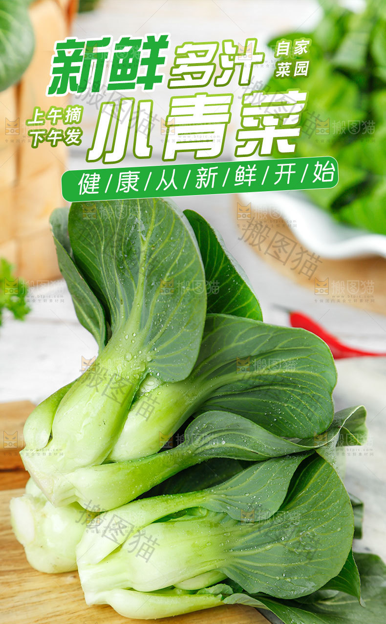 新鲜青菜详情页