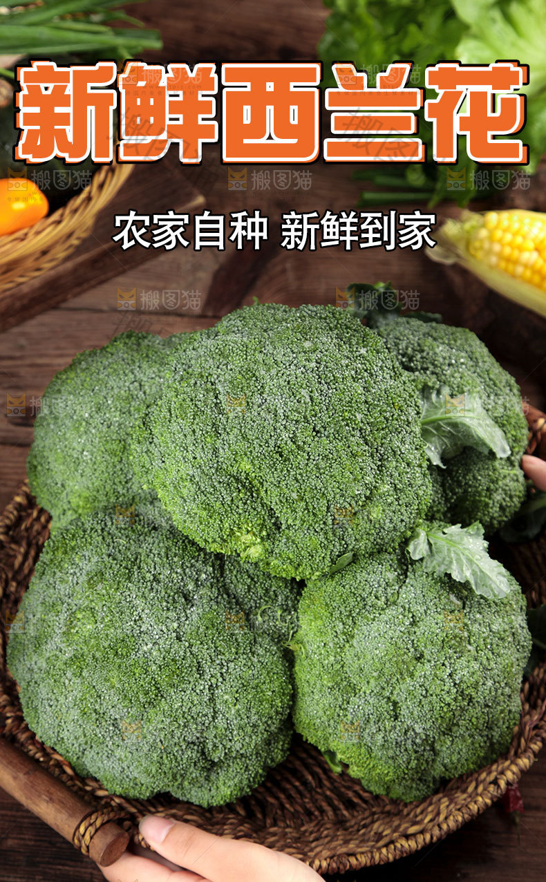 西兰花详情页