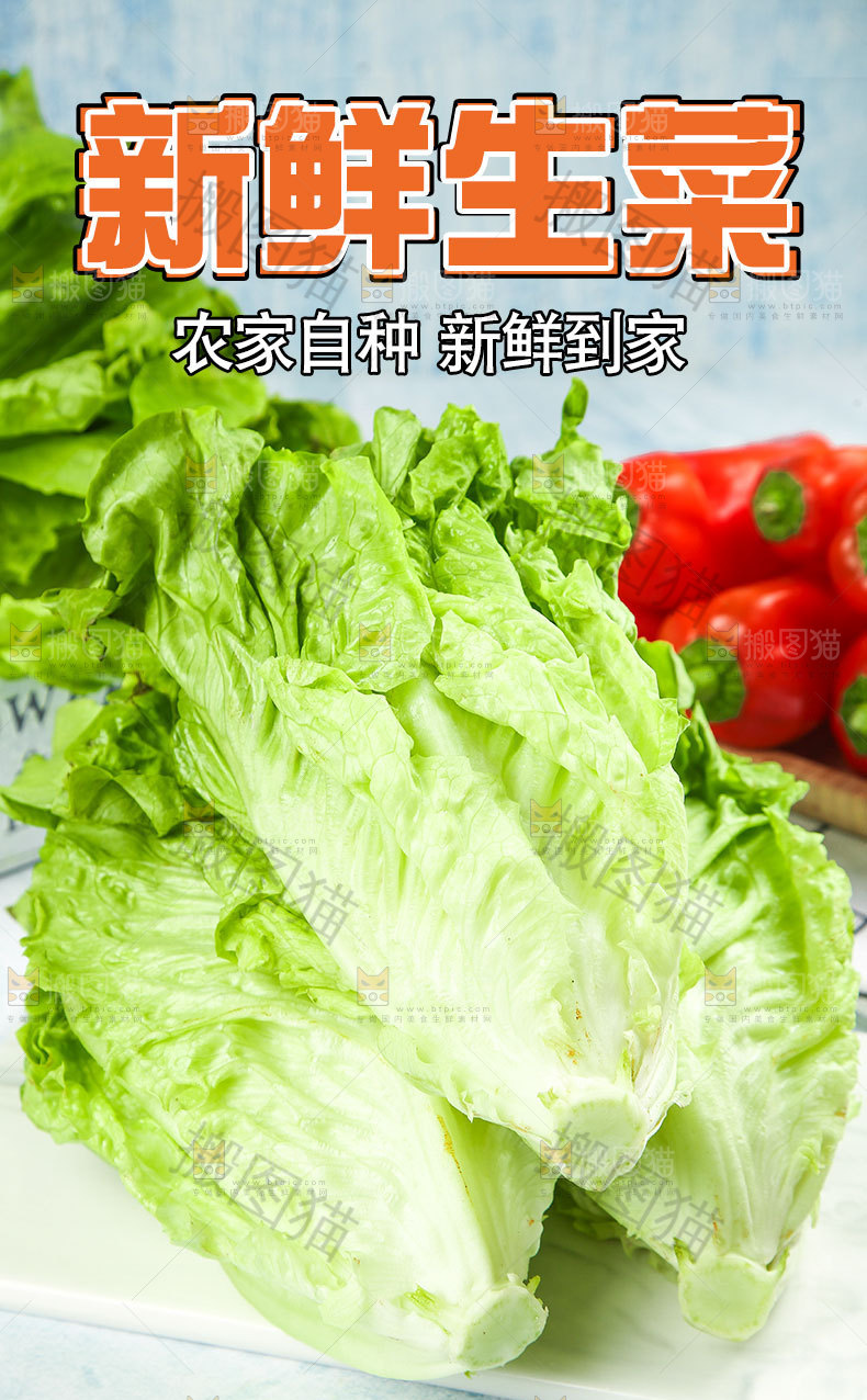 新鲜生菜详情页