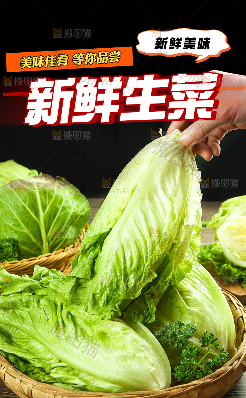 新鲜生菜详情页