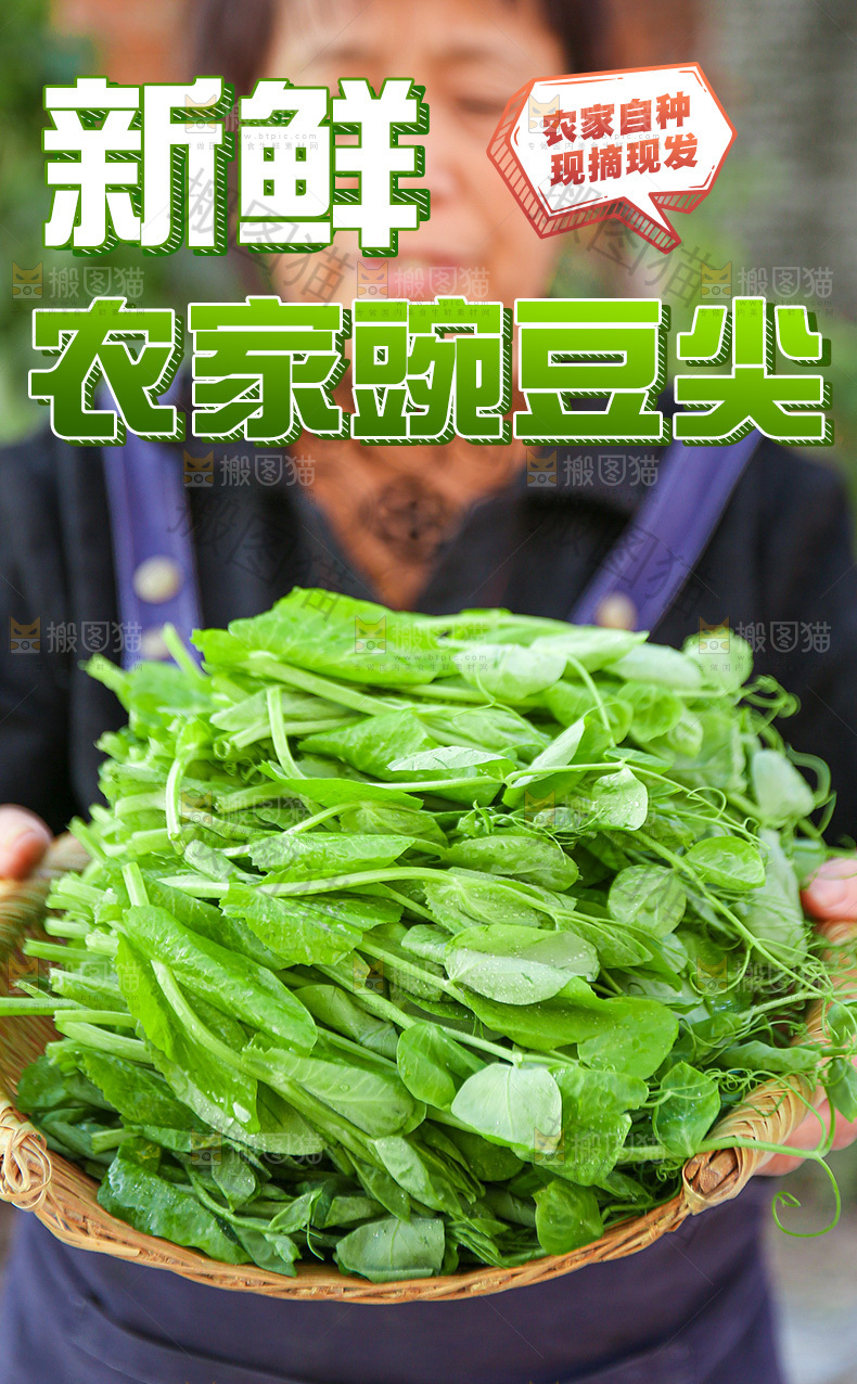 农家豌豆尖详情页