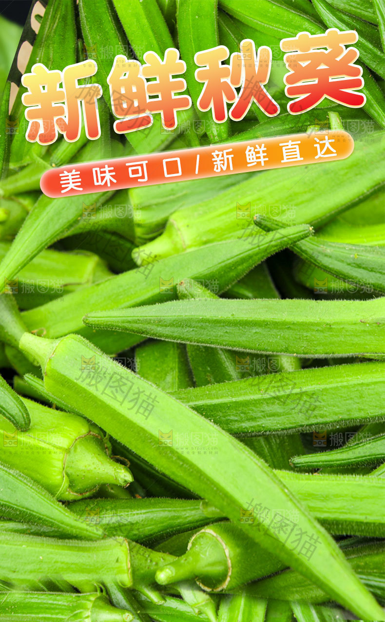 新鲜秋葵详情页