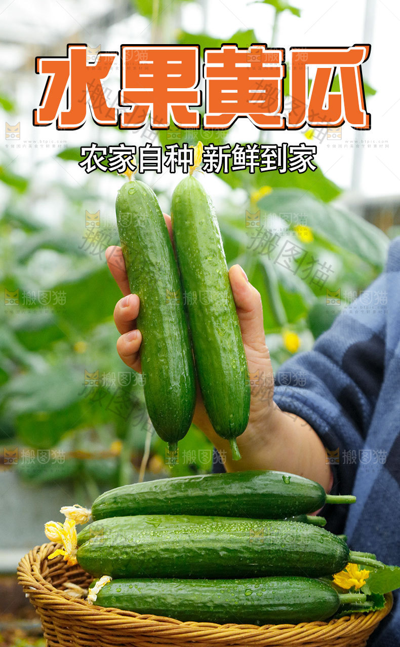 小黄瓜详情页
