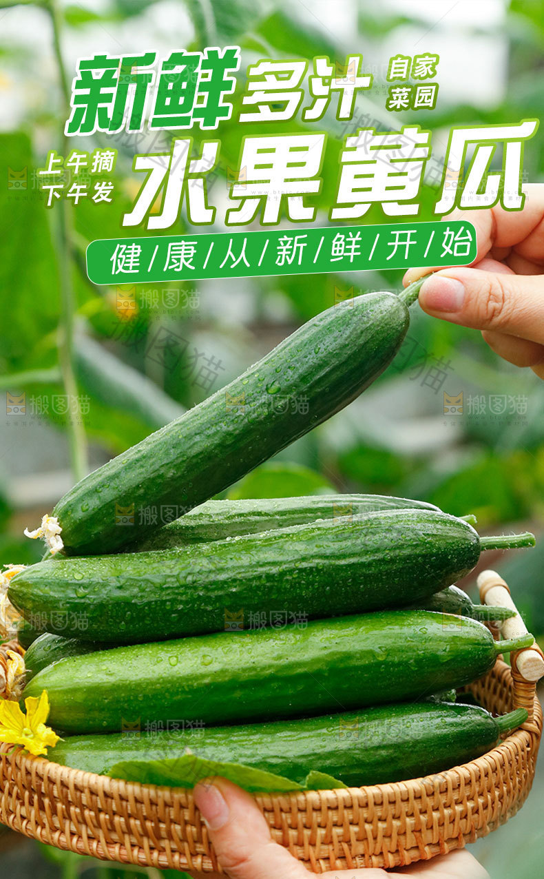 新鲜小黄瓜详情页