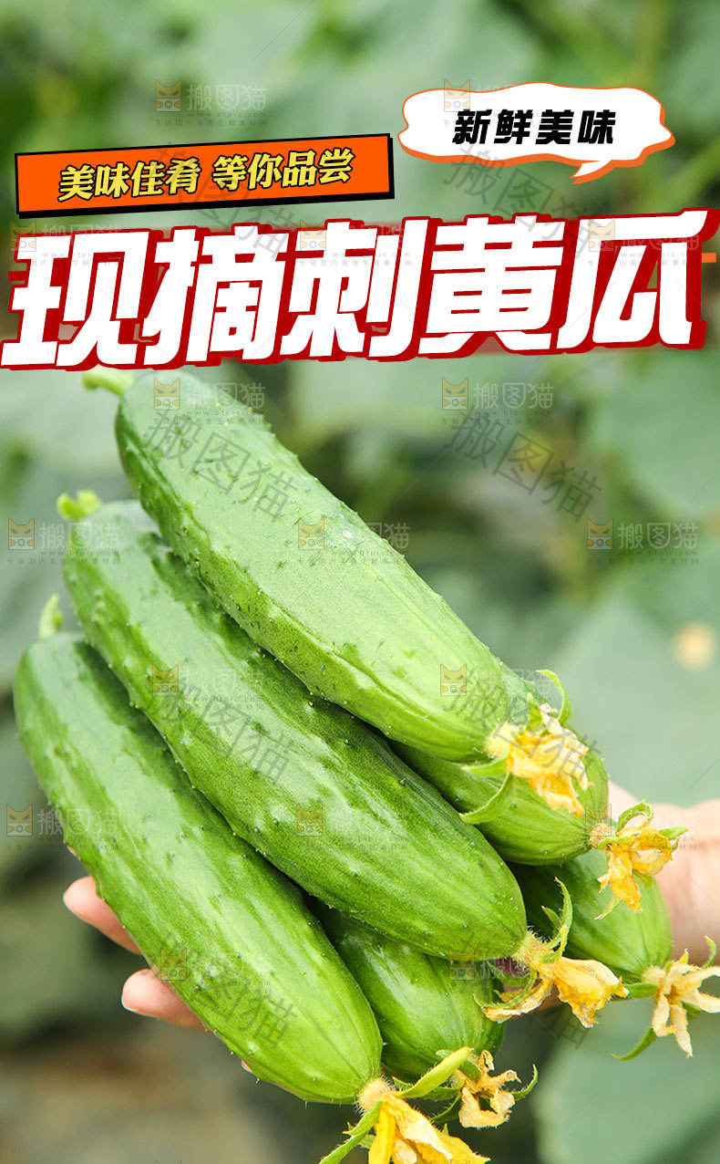 刺黄瓜详情页