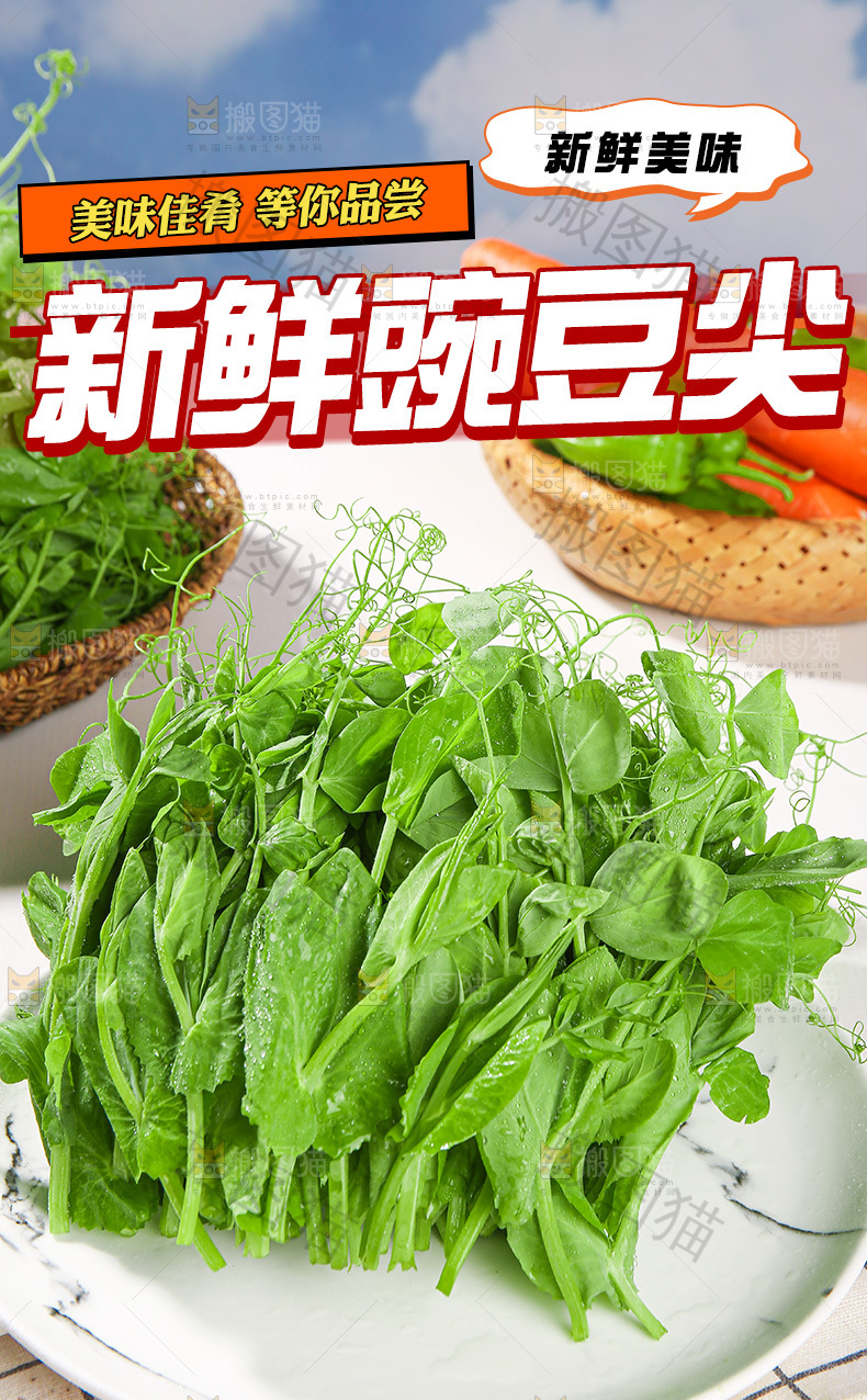 新鲜豌豆尖详情页