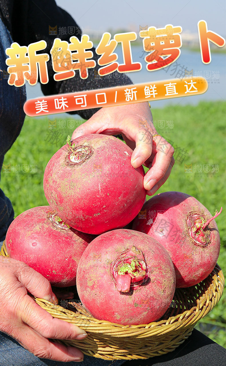 新鲜红萝卜详情页