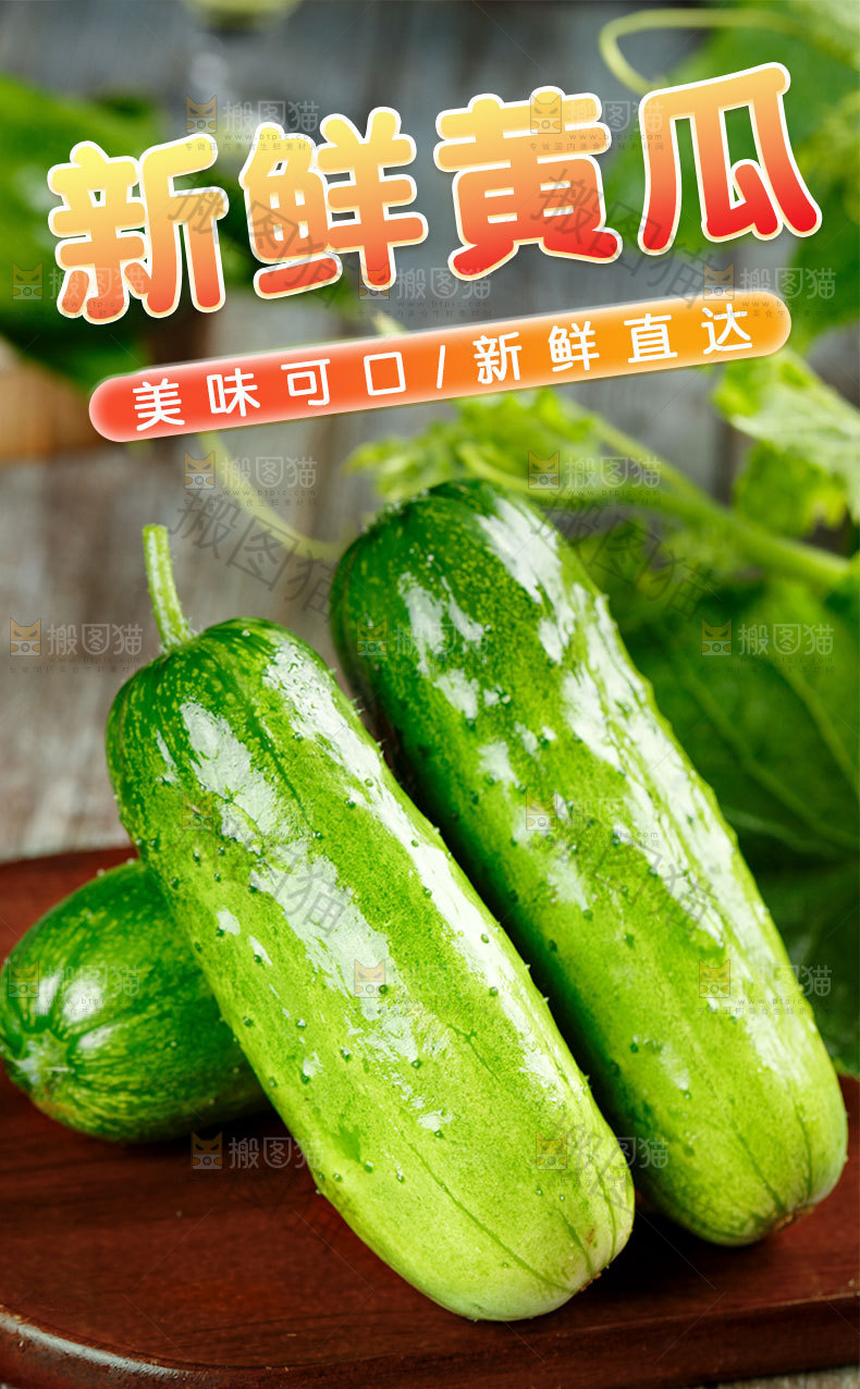 新鲜旱黄瓜详情页
