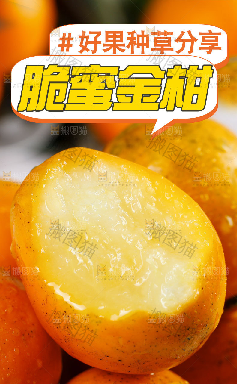 新鲜金柑详情页