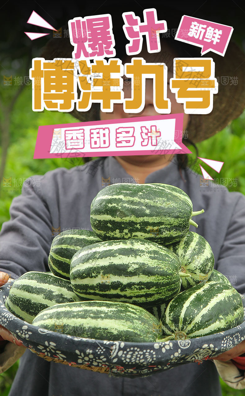 博洋9号甜瓜详情页
