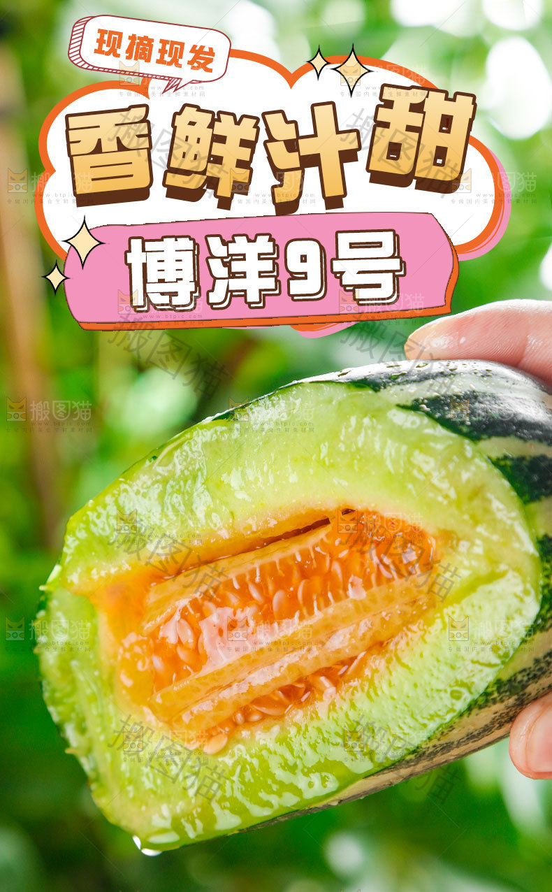 博洋甜瓜详情页