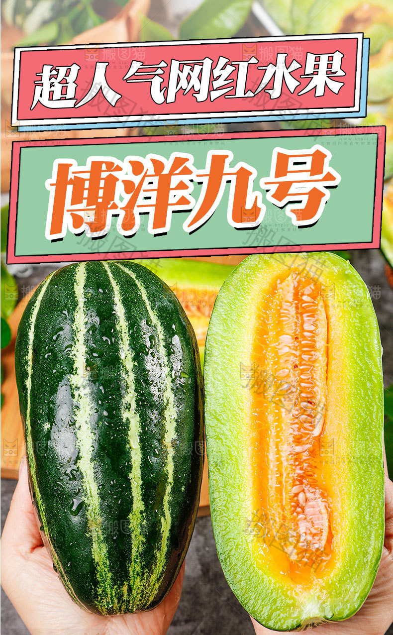 博洋9号甜瓜详情