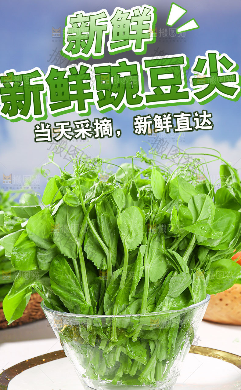 豌豆尖详情页设计