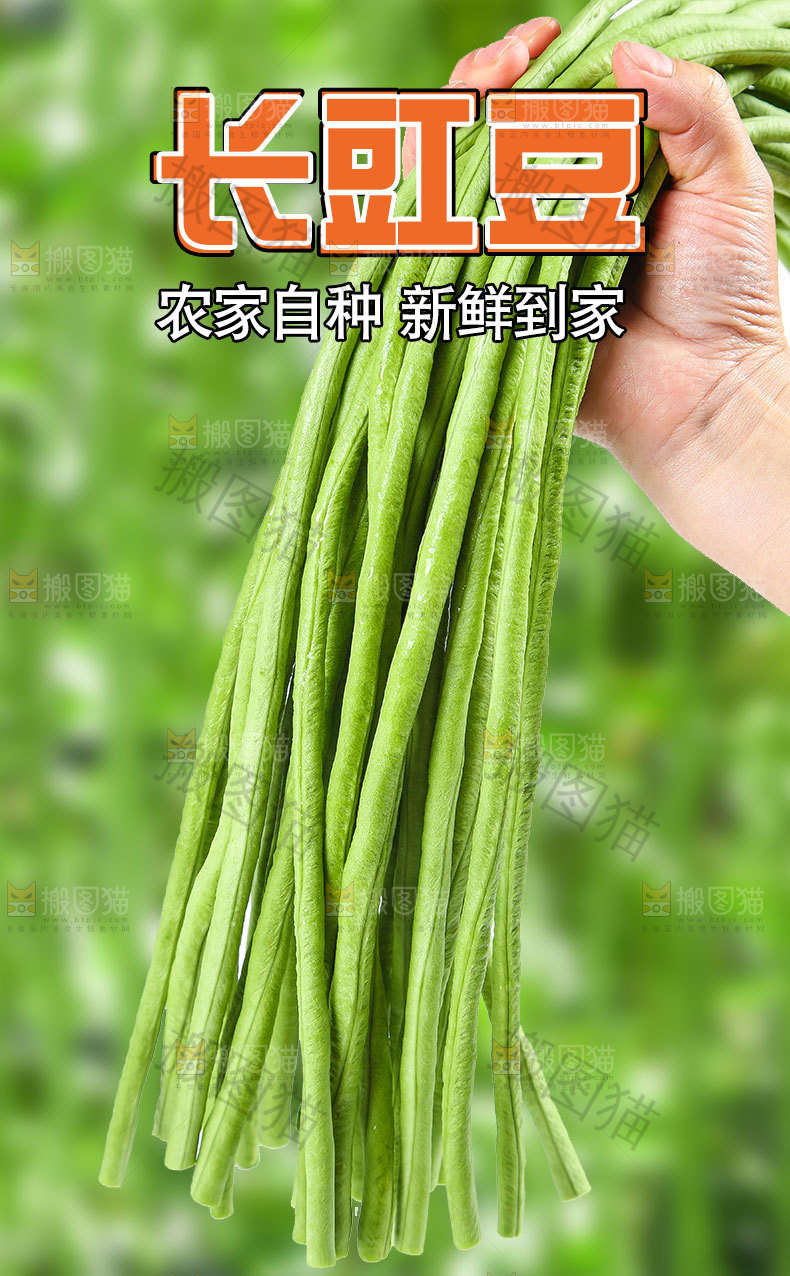长豆角详情页设计