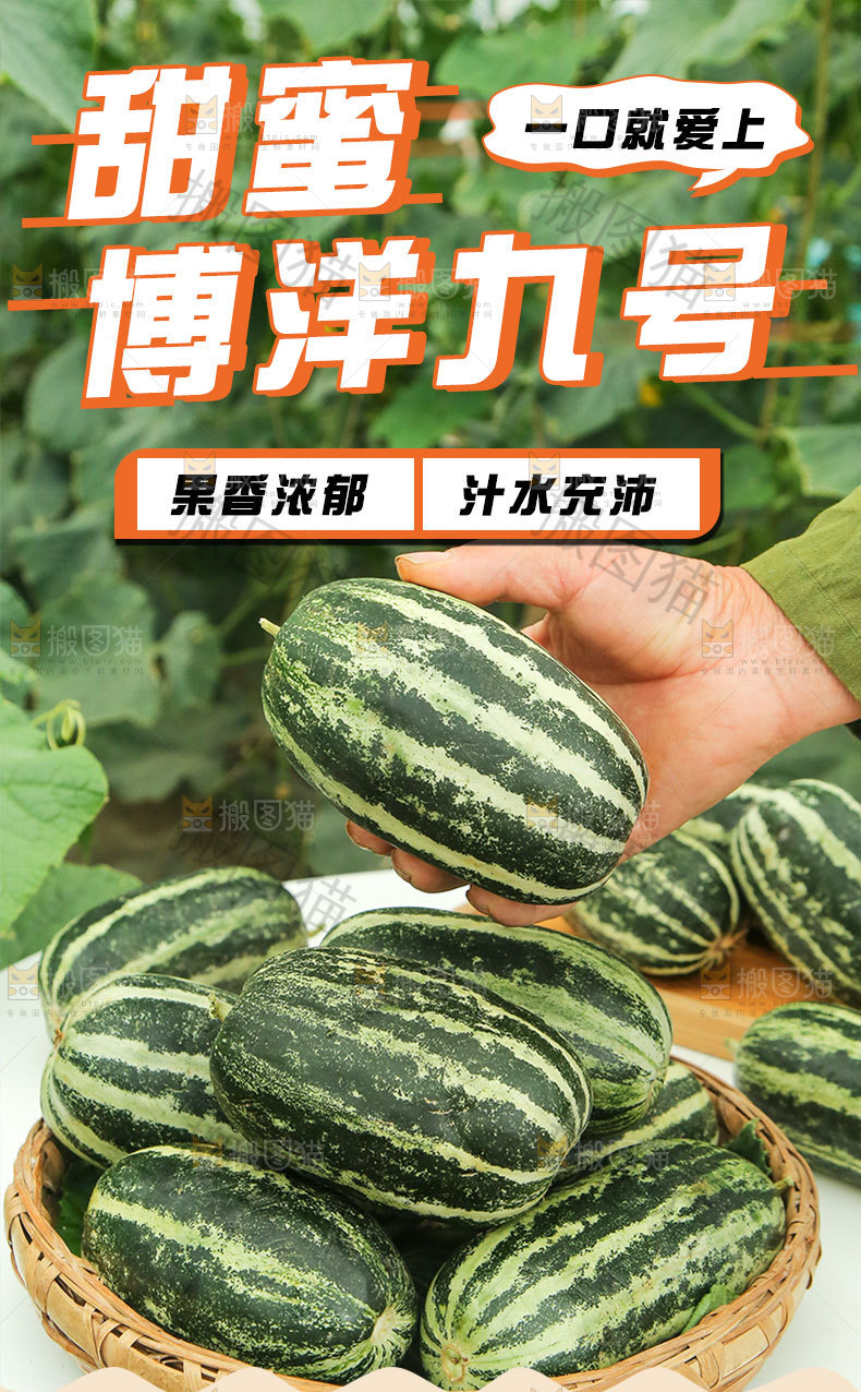 博洋甜瓜详情页设计