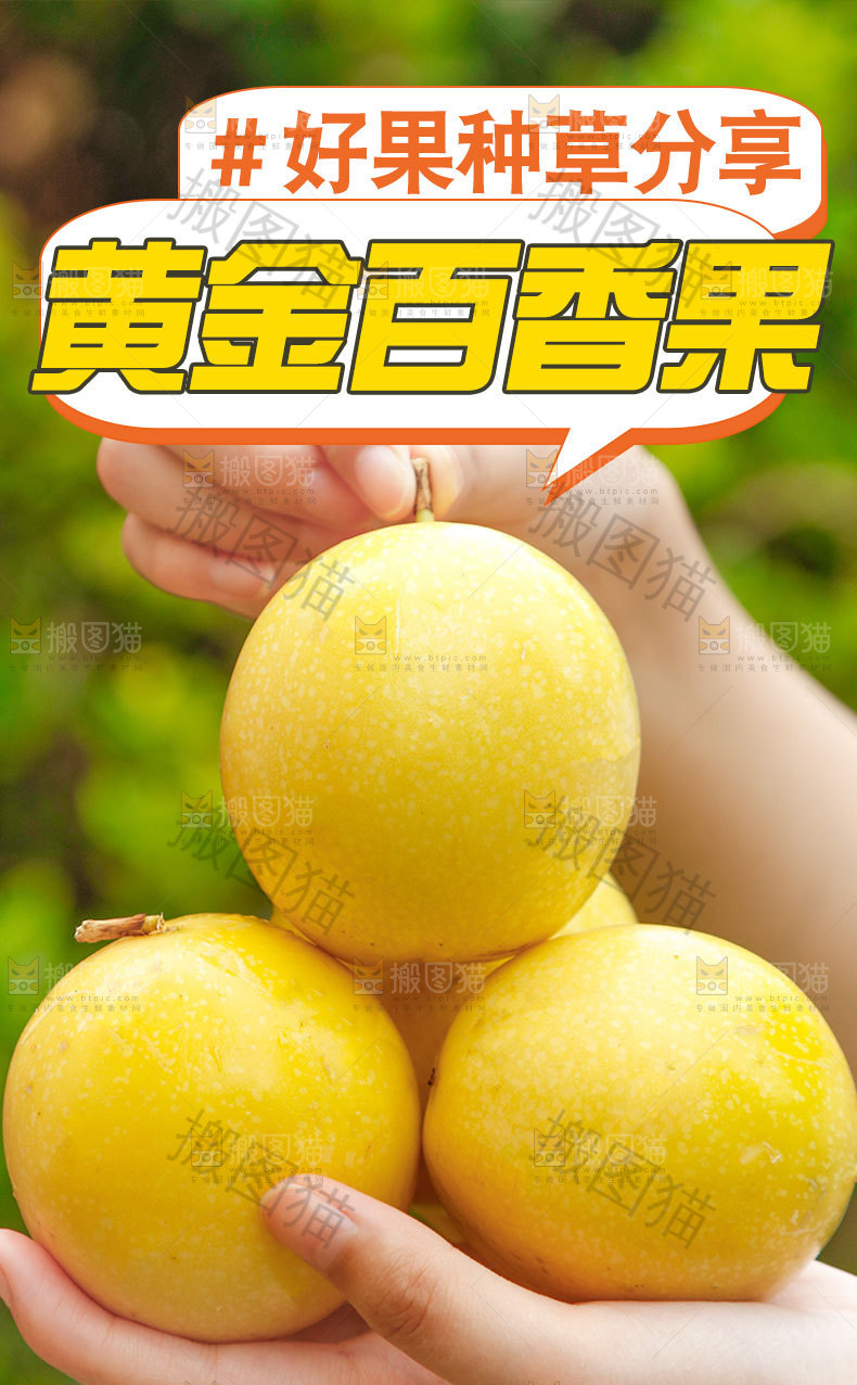 黄金百香果详情页