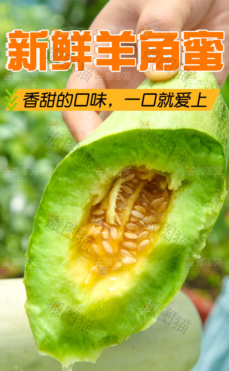 新鲜羊角蜜详情