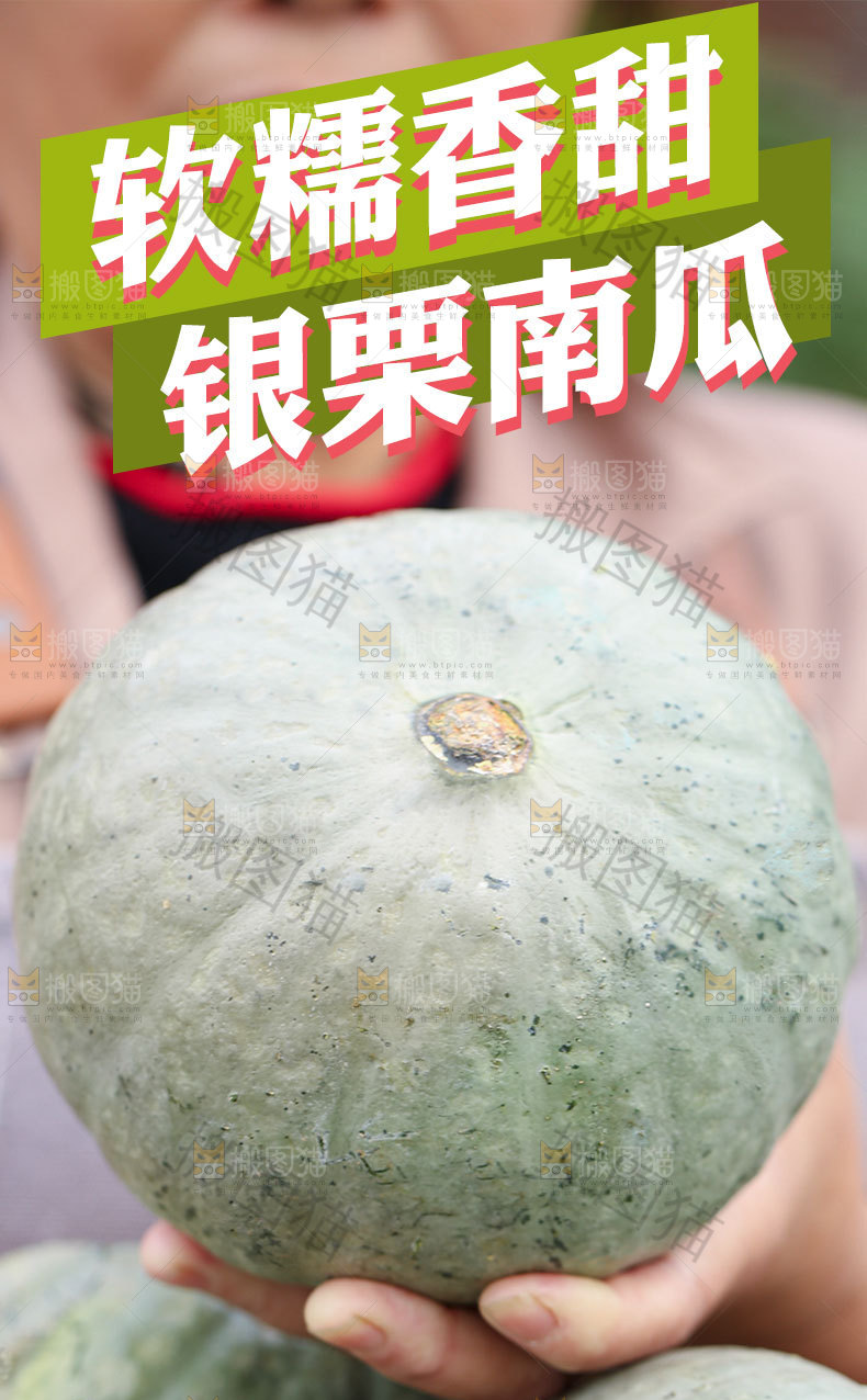 银栗南瓜详情页