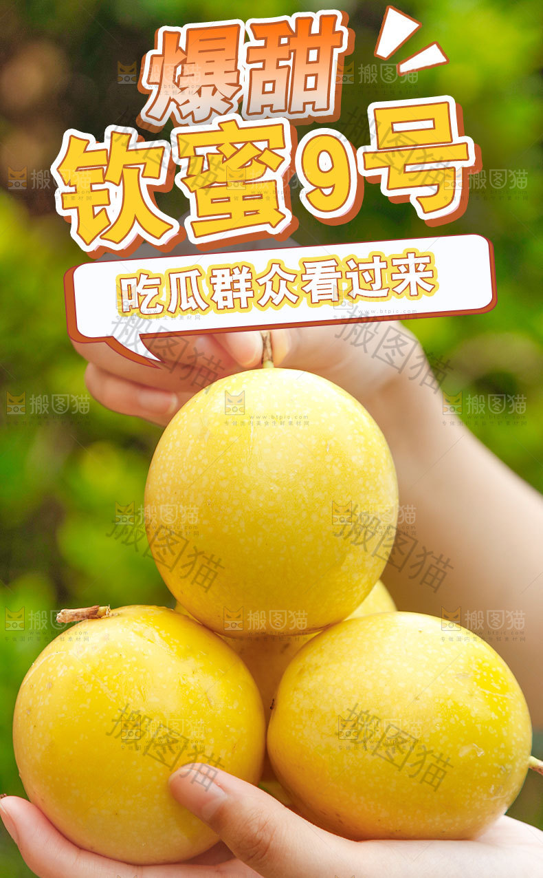 钦蜜9号百香果详情