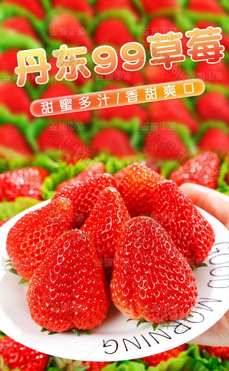 丹东99草莓详情页