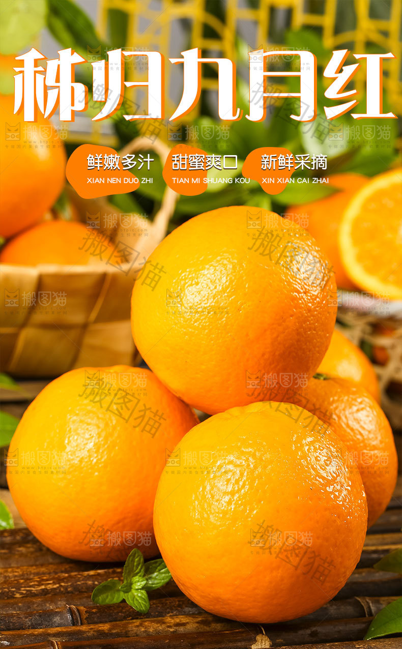 九月红脐橙详情页