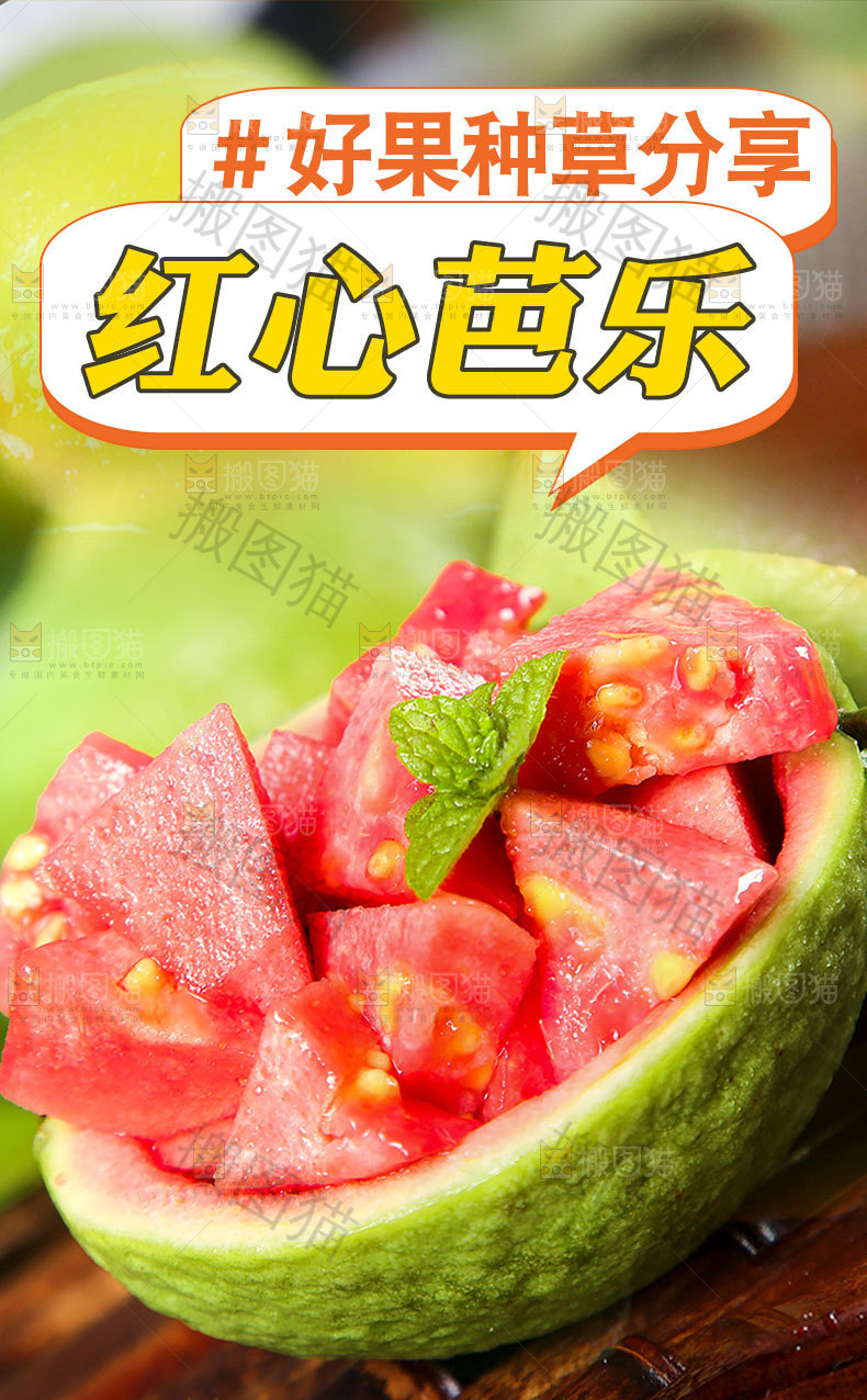 红心芭乐详情