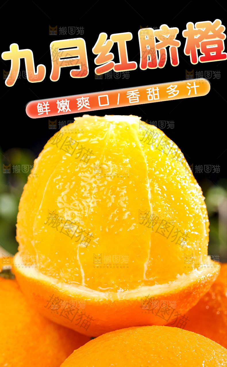 九月红脐橙详情页
