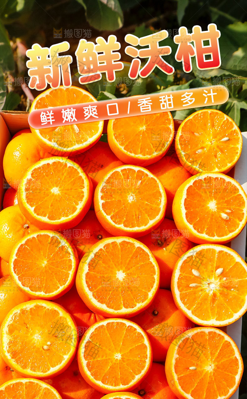 武鸣沃柑详情页