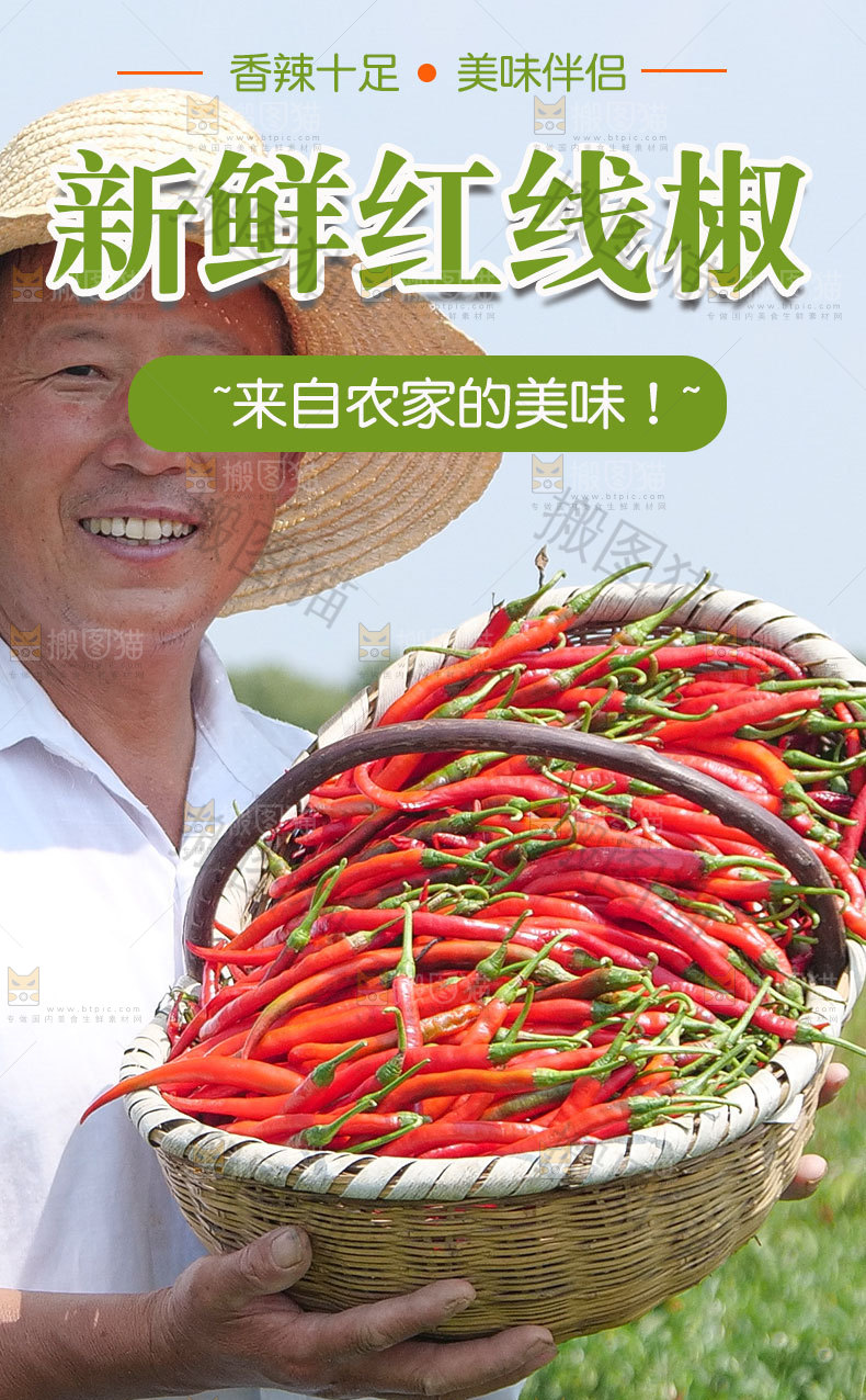 红线椒详情页设计