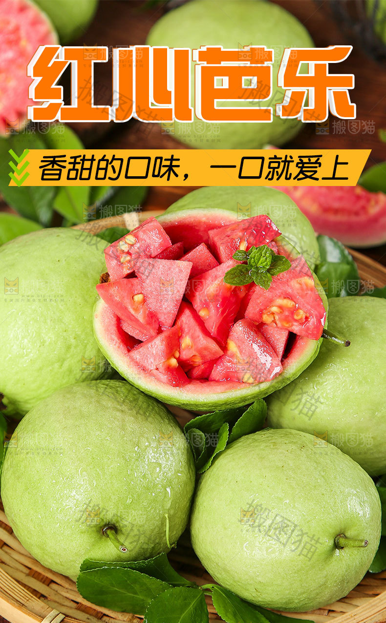红心软芭乐详情