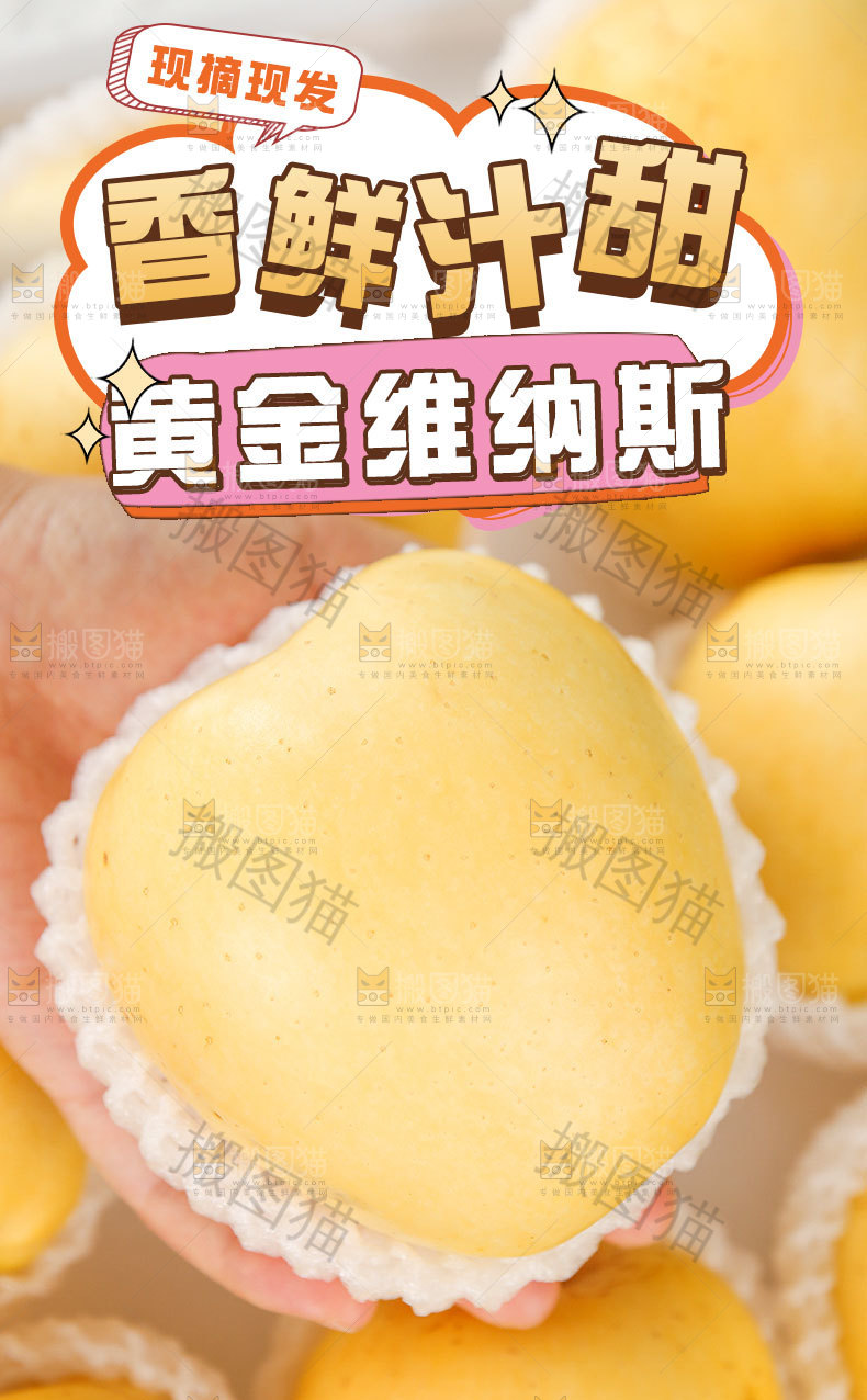 黄金维纳斯苹果详情