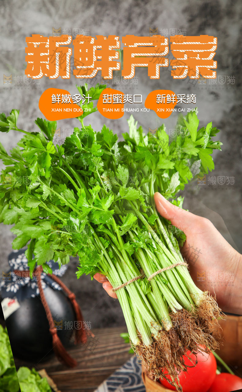 新鲜芹菜详情