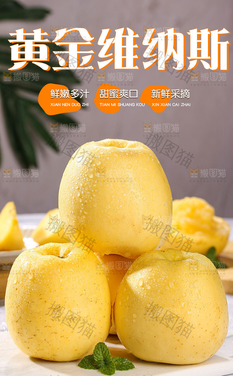 黄金维纳斯苹果详情