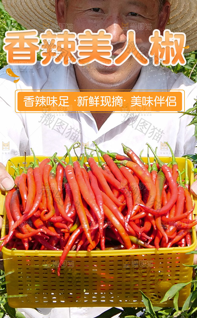香辣美人椒详情页