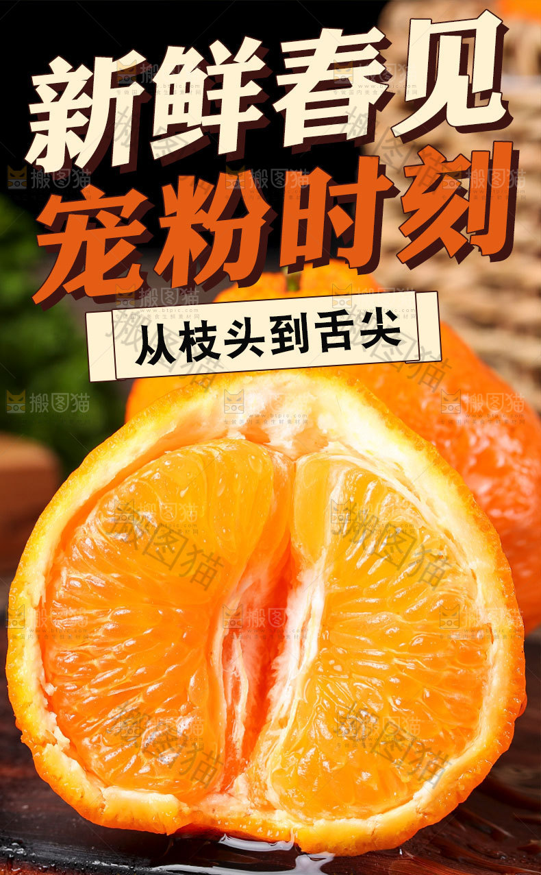 新鲜耙耙柑详情页
