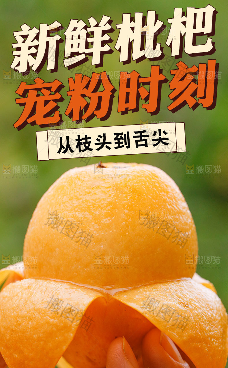 枇杷果详情页