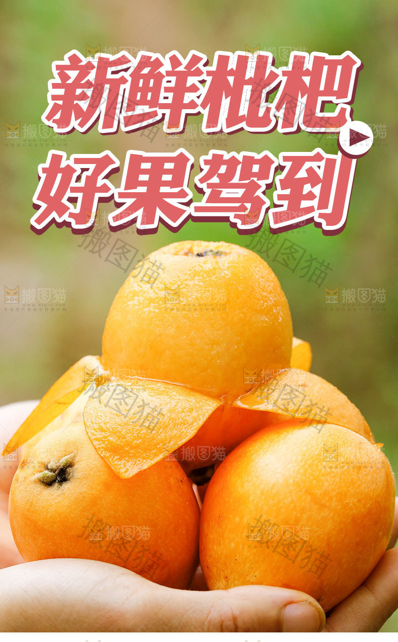 枇杷果详情页