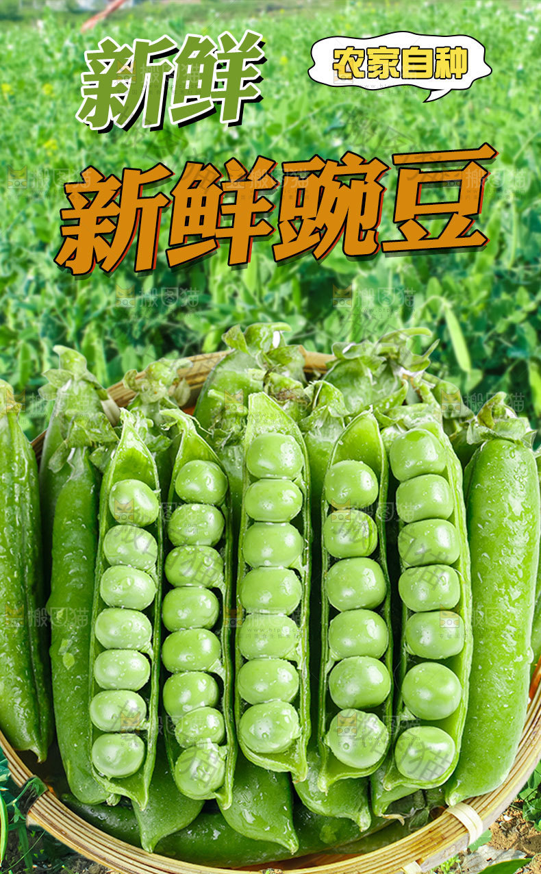 新鲜豌豆详情页