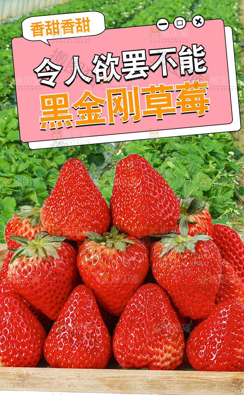 黑金刚草莓详情页
