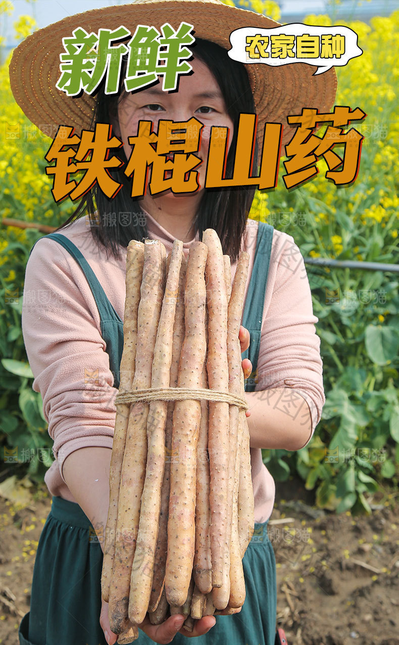 铁棍山药详情页