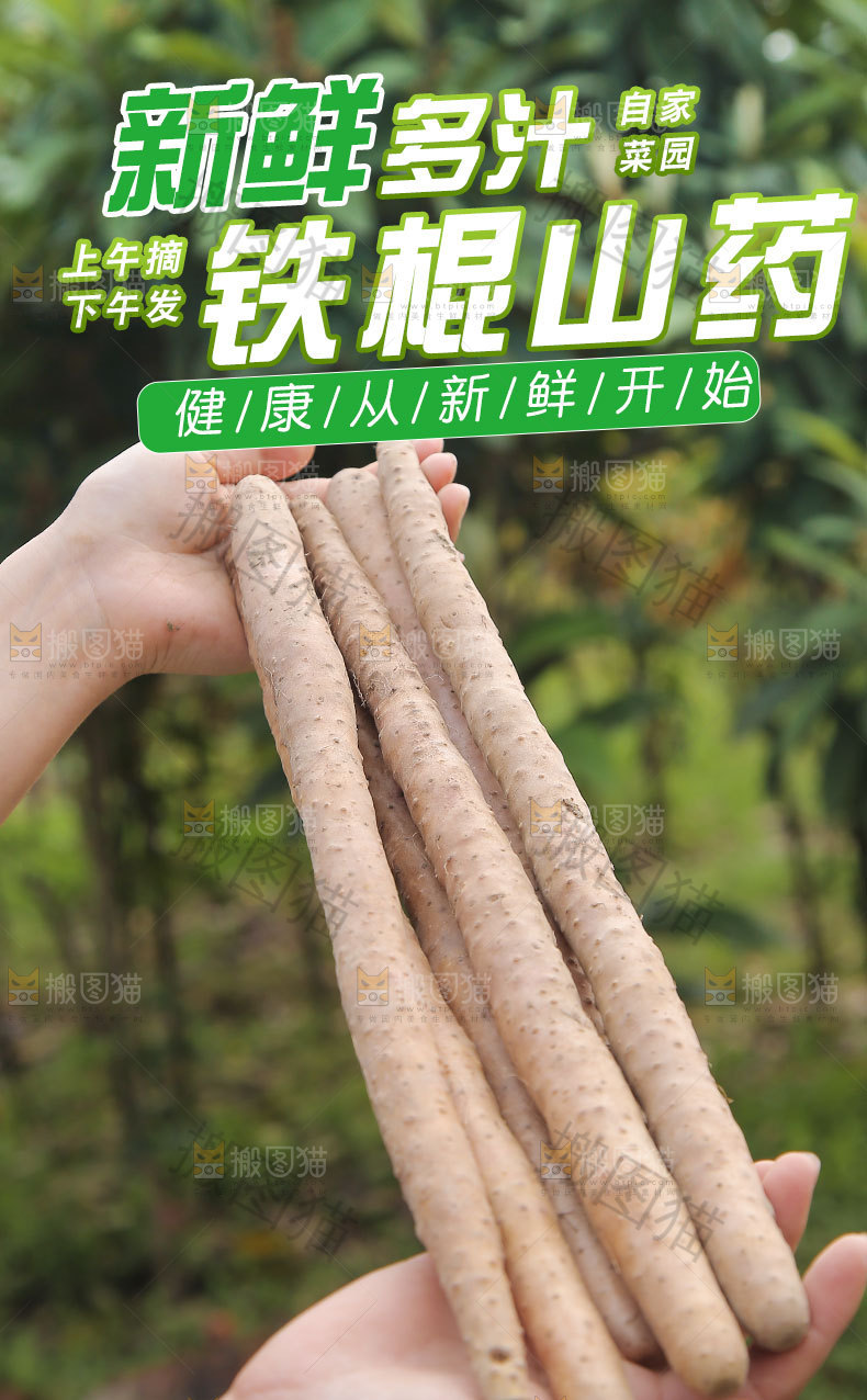 铁棍山药详情页
