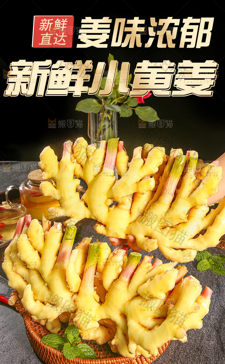 新鲜小黄姜详情页