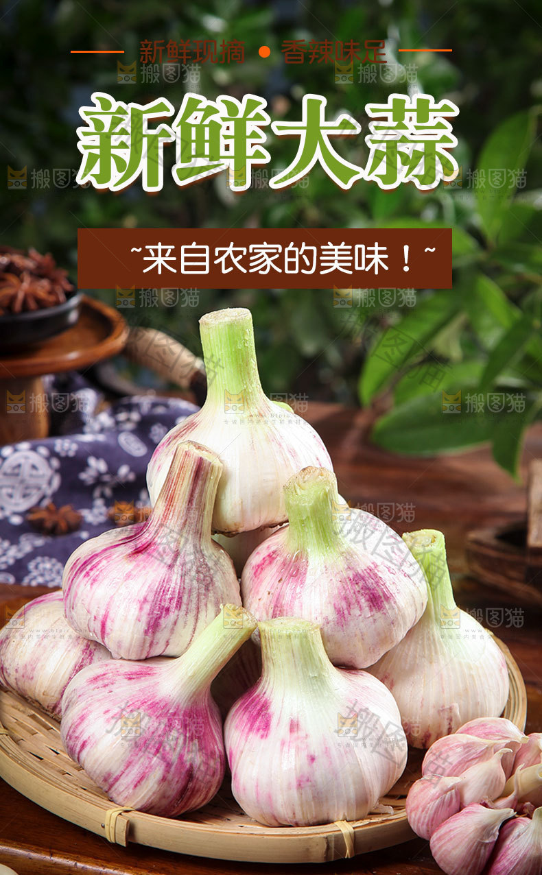 紫皮大蒜详情页